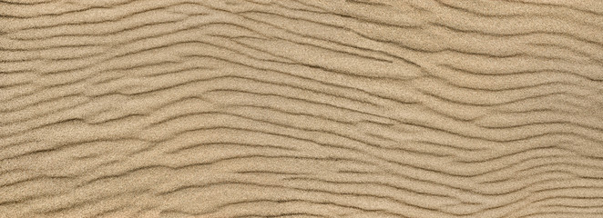Sand ripple texture. Sandy background. Sand close-up.
