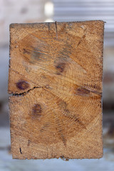 Section of the wooden support beam