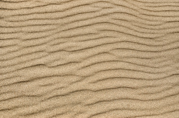 Sand ripple texture. Sandy background. Sand close-up.