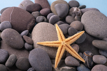 Fototapeta na wymiar Starfish on pebbles summer texture angle view close up blue background