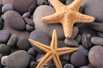 Fototapeta na wymiar Two starfish on pebbles summer texture background angle view close up