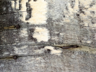 texture of old shabby rustic wooden fence made of planks, with rusty nails, grunge background