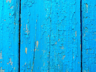 Fototapeta na wymiar texture of old painted shabby rustic wooden fence made of planks, with rusty nails, grunge background