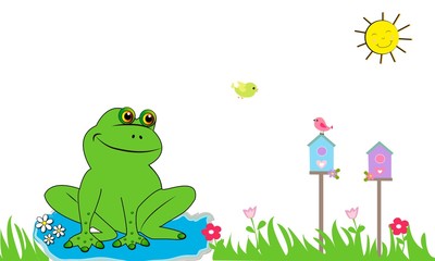 Rana y nidos de pájaros. 