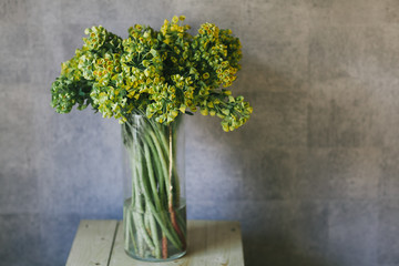 Beautiful bouquet of flowers in a vase