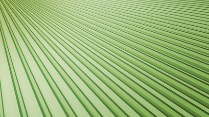 Abstract Green Background - Angled Tropical Fan Leaf Graphic Illustrated Backdrop 