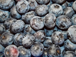 Macro of a pile of fresh ripe blueberries