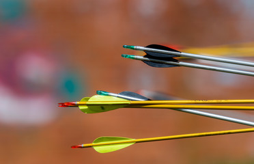 archery arrows on a blur background