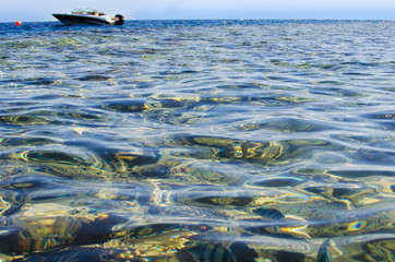 Powerboat on the sea. Stones are visible through the transparent waves.