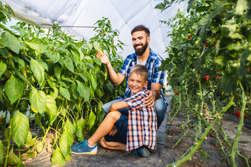 Happy young father with his son harvesting in greenhouse.