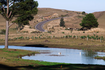 bridge over the river