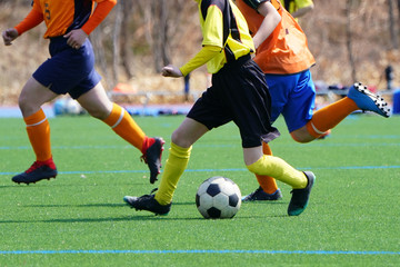 Obraz premium Piłka nożna