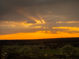 A sunset landscape in the dehesa on a cloudy day