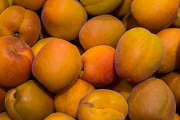 a lot of apricots are scattered on the table, ripe apricot