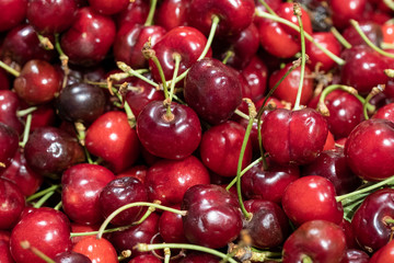 a lot of cherries scattered on the table, ripe cherries