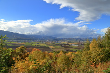 Fototapeta na wymiar ハートヒルパーク展望台から望む秋の富良野 ( Autumn rural scenery at Furano, Hokkaido, Japan )