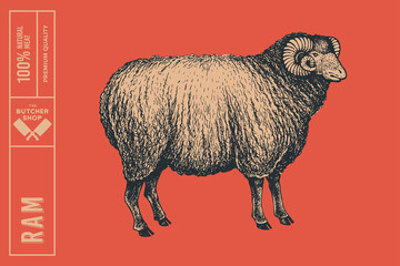 Graphic hand-drawn ram on a red background. Retro engraving with farm animal for menu restaurants, for packaging in markets and shops. Vector vintage illustrations.