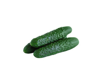 Three green cucumbers. Close-up. White isolate