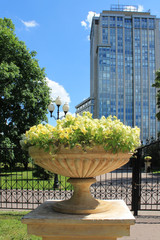 Flowerpot with flowers in the Park in summer