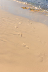 Fototapeta na wymiar Footsteps in the Wet Sand