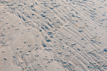 patterns in the sand