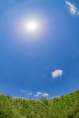 Obraz na płótnie Canvas 初夏の青空と太陽　魚眼レンズ　広角