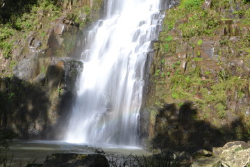 waterfall in forest