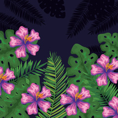 tropical flowers with leaves plants background