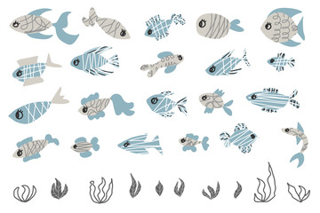Vector fish collection isolated in doodle style. 
