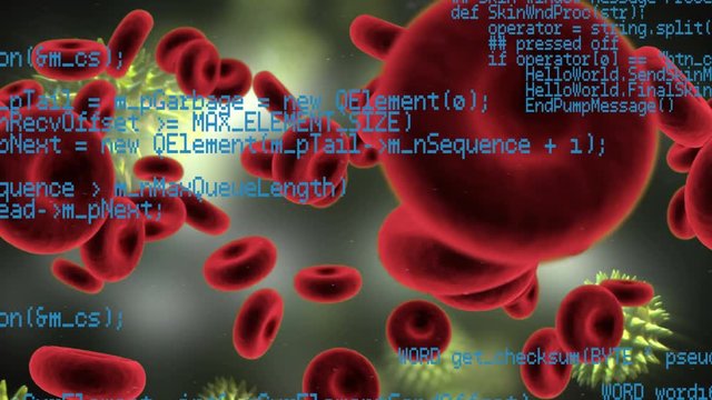 Red blood cells and bacterial cells