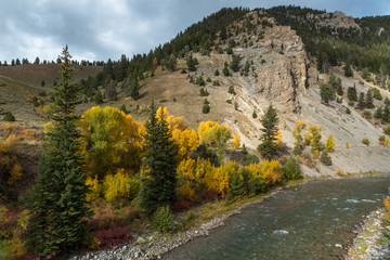 Fototapeta na wymiar Autumn Colours in Wyoming