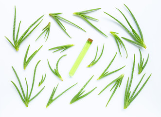 Aloe vera is a popular medicinal plant for health.