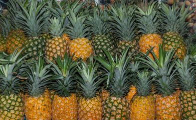 Obraz premium Pineapples in the market - Ananas comosus