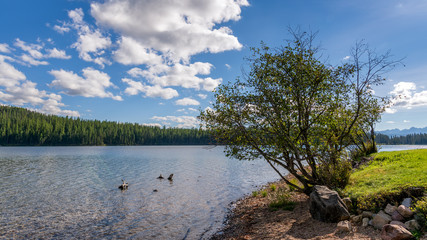 Scenic View of Holland Lake in Montana