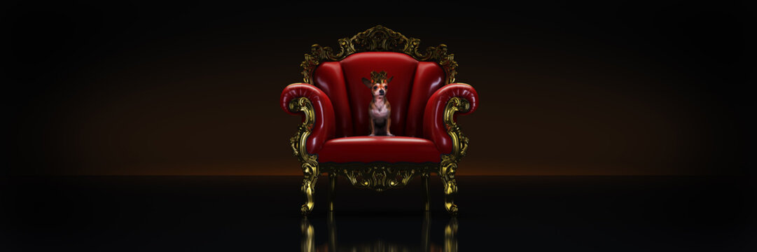 Dog with crown in a chair. 3d rendering
