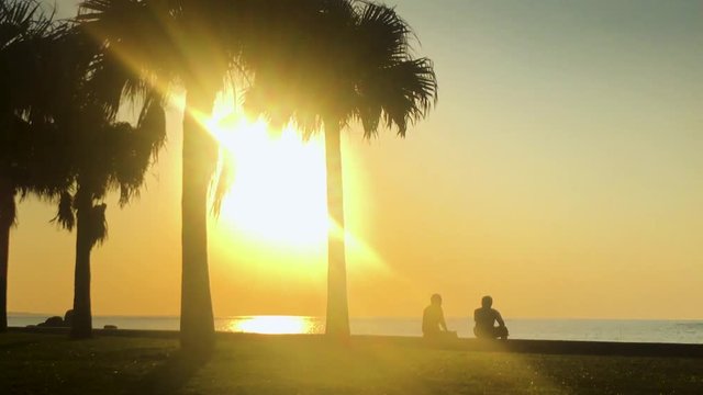 Time Lapse of Palm tree and people near the beach. Araha Beach, Chatan, Okinawa, Japan.