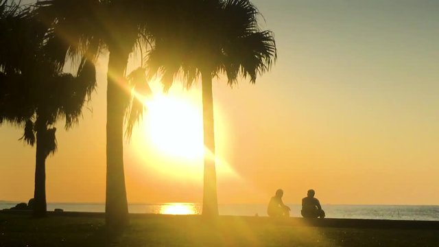 Time Lapse of Palm tree and people near the beach. Araha Beach, Chatan, Okinawa, Japan. Zoom Out