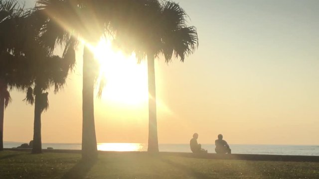 Time Lapse of Palm tree and people near the beach. Araha Beach, Chatan, Okinawa, Japan. Raw  Unedited Footage