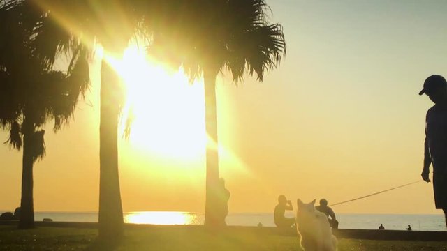 Time Lapse of Palm tree and people near the beach. Araha Beach, Chatan, Okinawa, Japan. Zoom Out