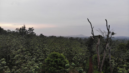 created by dji camera