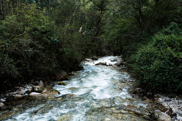 River Running Over Rocks Peru South America With Thick Growth