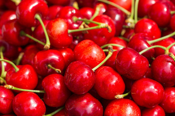 Closely arranged red ripe cherry background material, Dalian specialty red light cherry,Cerasus pseudocerasus