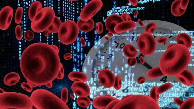 Red blood cells and white clock