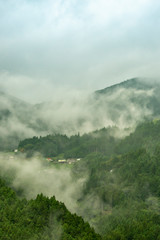 Sea of clouds in Iya, Tokushima prefecture, Japan