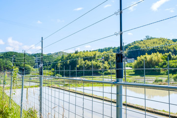 Fototapeta premium 電磁柵 農業 畑 獣害対策 フェンス 田舎