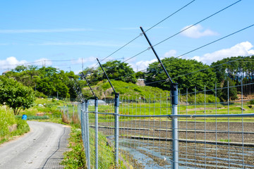 電磁柵　農業　畑　獣害対策　フェンス　田舎