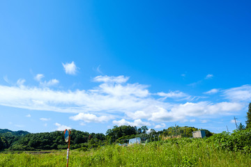 【写真素材】 青空　空　雲　初夏の空　背景　背景素材　6月　コピースペース