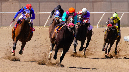 Race Horses Rounding the Final Curve
