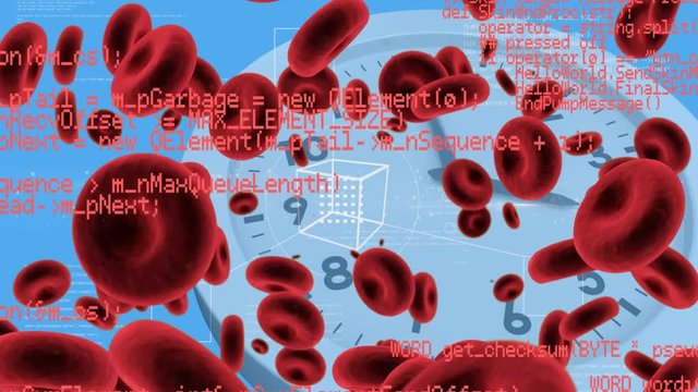 Red blood cells and white clock