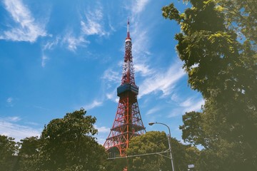 Tokyo tower and green leaf background